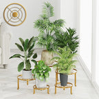 5 Pack Plant Stand Indoor Outdoor, Flower Pot Stand Plant Rack for Home Courtyard Gardens, Round Metal Corner Plant Stand for Flower Holder for Multiple Plants