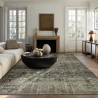 Washable Living Room Area Rug: 6x9 Area Rugs for Bedroom Vintage Stain Resistant Non Slip Low Pile Lightweight Boho Carpet for Kitchen Dining Room Farmhouse Kids Room Nursery