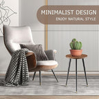 Tall Plant Stand Indoor, Mid Century Wood Plant Stand Plant Table for Flower Pots, Heavy Duty Metal Plant Holder, Modern Home Decor Small Round Side End Table (11.8"x20")
