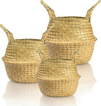 Seagrass Plant Basket with Handles Set of 3 - Woven Belly Basket Planter with Liner for Indoor Plants, Olive Tree, Monstera, Snake Plant, Faux Tree, 8" 9" 10" 12 Inch Pots, Boho Floor Basket