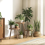 Uneedem Plant Stand Indoor - 3-Pack Taller Single Wood Plant Stand for 6-12 Inch Pots, Mid-Century Modern Plants Stool for Large Plants, Small Round Wooden Planter Table for Living Room, Balcony