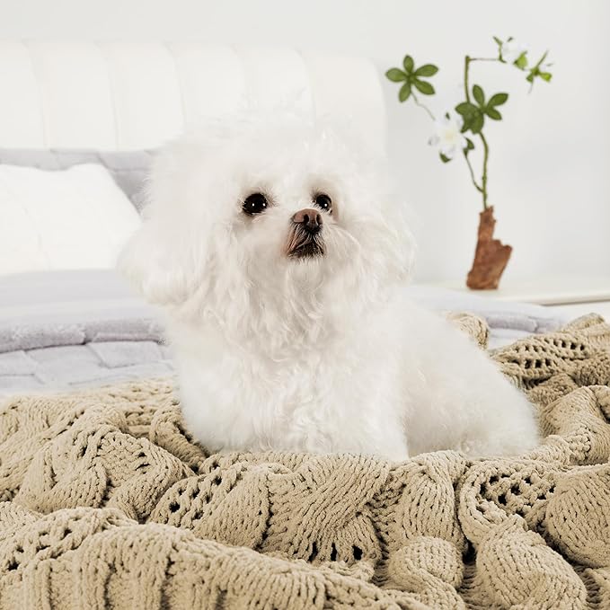 Amélie Home Chunky Knit Throw Blanket, Dual-Sided Soft Chenille Breathable Cable Knitted Blanket for Couch, Farmhouse Decorative Throw for Sofa & Chair, 50"x60", Beige