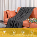 NTBAY Acrylic Knitted Oversized 60x80 Twin Throw Blanket, Lightweight and Soft Cozy Decorative Woven Blanket with Tassels for Travel, Couch, Bed, Sofa, 60x80 Inches, Dark Grey Checkered