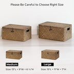 StorageWorks Wicker Baskets with Lid for Organizing, Seagrass Storage Baskets for Shelves, Decorative Box with Built-in Handles, Brown, Large, 1 Pack