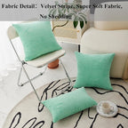 Home Brilliant Throw Pillows for Couch 18x18 Spring Pillow Covers Set of 2 Soft Textured Velvet Accent Pillowcases for Girl Dorm Sofa Decor, 45 cm x 45 cm, 18 x 18 Inch, Aqua Blue