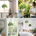 XXXFLOWER Macrame Plant Hanger with Hooks Handmade Woven Cotton Rope,Hanging Planter Basket String for Indoor Outdoor Boho Decor,Set of 1(Pots and Plants NOT Included)
