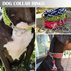 Ewparts Metal O Rings Assortment Multi Size Metal Rings for Crafts 50 Pack 3mm Thick Welded Heavy Duty Macrame O-Ring for Sewing,Dog Leash,Dog Collor,Macrame Plant Hanger,Crafting,Jewellry Making