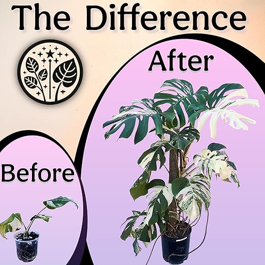 Organic Liquid Indoor Plant Food, Houseplant, Tropical & All-Purpose Indoor Plant Fertilizer, Organic Liquid Fertilizer 5-5-5 with Sea Kelp, 16oz Treats 110 Gallons