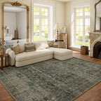 Washable Living Room Area Rug: 6x9 Area Rugs for Bedroom Vintage Stain Resistant Non Slip Low Pile Lightweight Boho Carpet for Kitchen Dining Room Farmhouse Kids Room Nursery