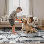 GENIMO Washable Rugs 5x7 Area Rugs for Living Room Bedroom, Modern Lightweight Rug Ultra Soft Indoor Area Rugs 5x7 for Dining Room, Low Pile Carpet with Non Slip Backing, Black White
