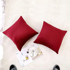 NiNi ALL Decorative Throw Pillow Covers Velvet 26x26 Inch Pack of 2 Burgundy Red Cushion Covers Soft for Couch Sofa Bedroom Living Room Outdoor