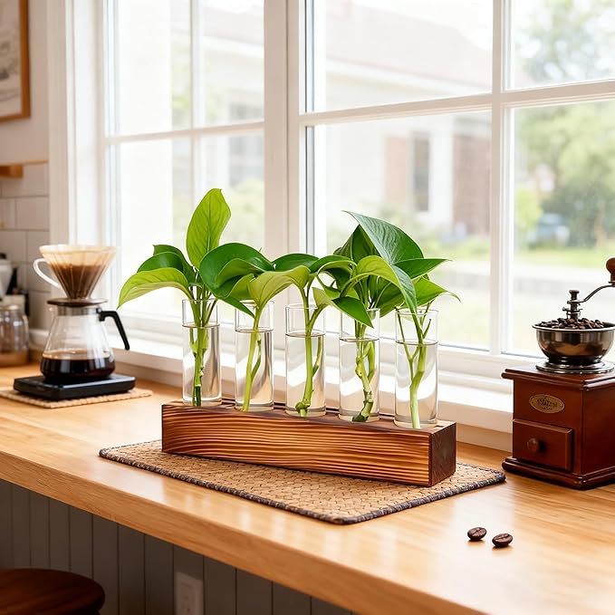Plant Propagation Station, Plant Terrarium with Wooden Stand, Plants Pots for Hydroponics, Small Birthday Gardening Gifts for Women Mom Plants Lovers Unique - 5 Glass Test Tubes Vases