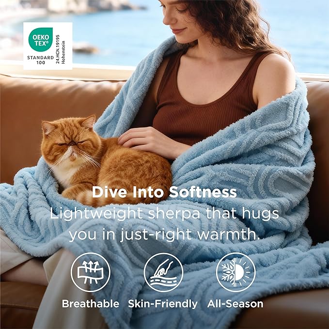 Bedsure GentleSoft Twin Blanket for Bed - Cozy Soft Blankets for Women, Cute Small Fleece Throws for Girls, Graduation Decorations Gift for Her Him School Dorm, Blue, 60x80 Inches