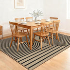 Outdoor Rug 5x7 Rugs for Living Room Washable Non-Slip Easy Jute Rug Indoor Outdoor Low Pile Ultra-Thin Area Rug Black Rainbow Carpet for Dining Room Bedroom Patio Office Dorm Nursery Floor Mats