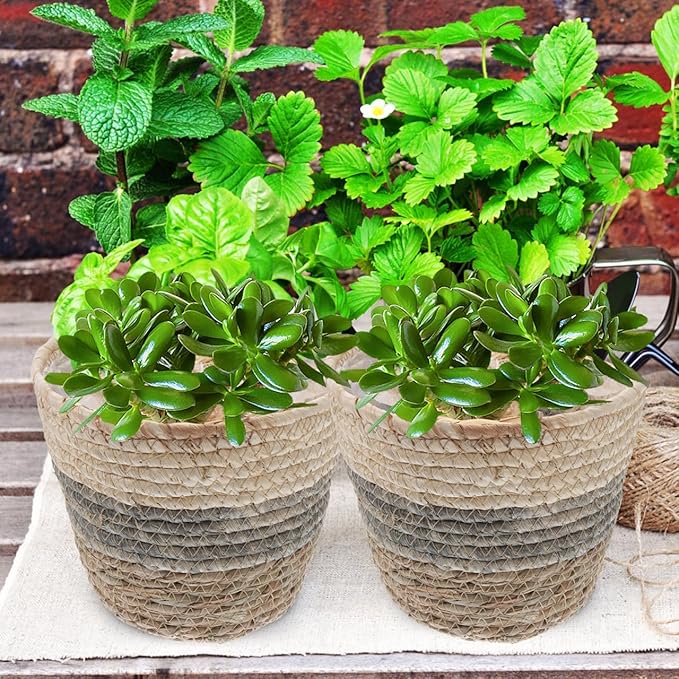 2PCS Plant Baskets Indoor with Liner Rattan Pots Planter Baskets Seagrass Indoor Planter Wicker Planters for and Outdoor Plants