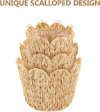 3 Pack Wicker Scalloped Plant Basket, Plant Baskets with Plastic Liner for Indoor, Hand Woven Water Hyacinth Flower Pots Cover Rattan Planter Basket for Home Farmhouse Decor, 10.2"+8.7"+6.7"