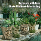Face Planter - Unique Old Man Tree Face Planters for Outdoor Indoor Plants with Drainage Hole, Funny Plant Pots for Succulents - Creative Flower Pots as Gifts for Women and Men (Green Man)