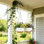 12 Inch Self Watering Hanging Planters 2 Pack, Indoor Outdoor Hanging Pots for Plants with Drainage Holes & Saucers, White Brown Plastic Hanging Baskets for Kitchen Balcony Garden