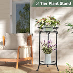 2 Pack Plant Stand Indoor Outdoor,20.3'' 2-Tier Metal Tall Plant Stands,Flower Pot Holder, Plant Rack, Display Shelf for Home Garden Office Patio Balcony