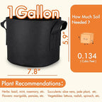 Gardzen 10-Pack 1 Gallon Grow Bags, 300G Thickened Fabric Grow Bags with Handles, Heavy Duty Aeration Plant Grow Bags