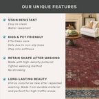Turkish 4x6 Rug for Living Room Small - Area Rug for Kitchen, Bedside, Foyer Large Entryway Indoor - Washable Stain Resistant Non Slip, Unique Victorian Art Deco, Maroon & Burgundy