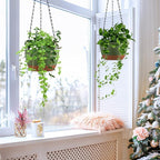 Set of 2 Hanging Planters for Indoor Outdoor Plants, 8 Inch Self-Watering Hanging Flower Pots with Drainage Hole & Removable Water-Storage Tray (Hooks)