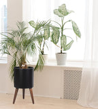 D'vine Dev 12 Inch Planter Pot with Stand, Mid-Century Tall Plant Pot with Legs for Indoor Plants, Large, Black, 88-O-C-2