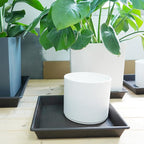 Square Plant Saucer 20 Inch 2 Pack, Large Plant Trays for Pots Heavy Duty Plastic Plant Saucers for Indoors Outdoors, Flower Pot No Holes Plant Lover Gardening Gifts