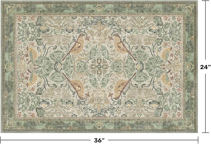 Sage Green Boho Bathroom Rugs - 2x3 Washable Non-Slip Soft Low Pile Area Rug for Entryway, Kitchen, and Decorative Door Mats - Vintage Farmhouse Design with Bird & Botanical Pattern Boho Décor