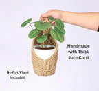 2 Pack 4 inch Macrame Wall Plant Hanger, Hanging Orchid Basket | Wall Plant Holder, Wall Planters for Indoor Plants (2 Pack, up to 4 inch Pot)