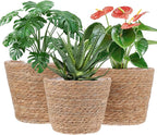 3 PCS Plant Baskets Indoor with Plastic Liner, Water Hyacinth Woven Planters Flower Basket, Planter Basket for Rustic Boho Home Farmhouse Floor Potted Pots Decor
