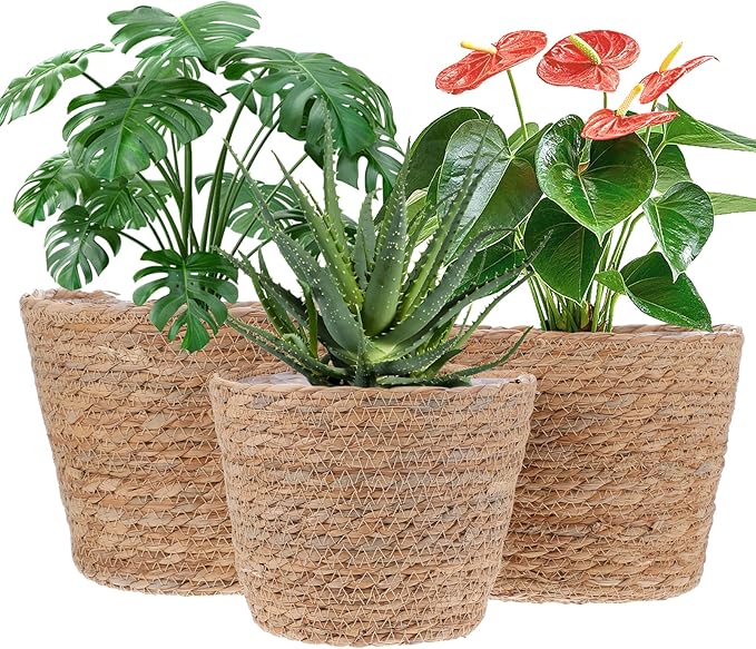 3 PCS Plant Baskets Indoor with Plastic Liner, Water Hyacinth Woven Planters Flower Basket, Planter Basket for Rustic Boho Home Farmhouse Floor Potted Pots Decor