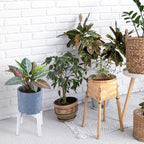 Wood 7.5" x 9.8" Plant Stand Indoor Outdoor, Wooden Single Floor Plant Pot Holder, Natural Plant Stand, Assembly Required (Excluding Potted Plants)