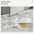Abstract Rug 5x7 Machine Washable Area Indoor Grey White Low Pile Non-Slip Foldable Thin Accent Rugs for Bedroom Living Room Dining Room