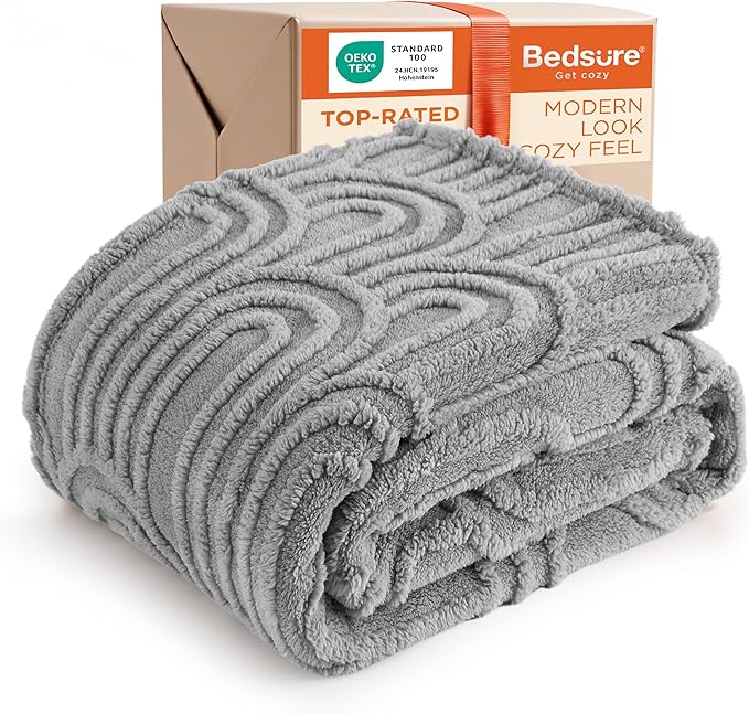 Bedsure GentleSoft Twin Blanket for Bed - Cozy Soft Blankets for Women, Cute Small Fleece Throws for Girls, Graduation Decorations Gift for Her Him School Dorm, Light Grey, 60x80 Inches