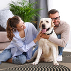 Lahome Modern Rainbow 2x8 Runner Rug, Washable Hallway Kitchen Runner Rugs with Rubber Backing Farmhouse Indoor Outdoor Carpet, Contemporary Non Slip Carpet for Entry Bedroom Porch
