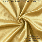 2 Pack 16x16 Pillow Cover Velvet Pillow Covers, Square Throw Pillow Covers for Living Room Decorations Throw Pillow Case, Throw Pillow Cover Cushion Cover for Home Sofa Bedroom Car, Gold
