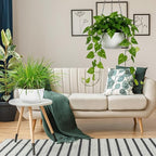 Set of 2 White Hanging Planters for Outdoor Indoor Plants, 10 Inch Self-Watering Hanging Plant Pots with Drainage Hole & Plug (Hooks)
