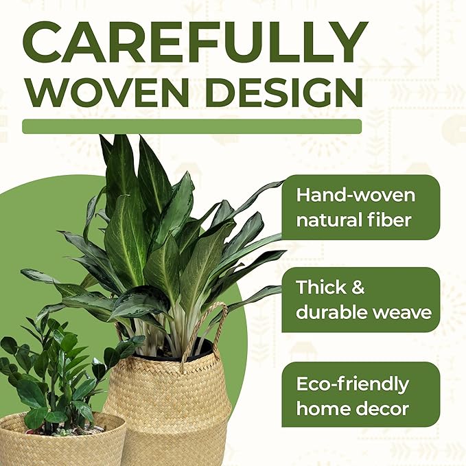 Seagrass Plant Basket Set of 3 with Handles – Handwoven Woven Basket Planter, Indoor Plant Basket & Plant Holder Basket, Natural Fiber Wicker Plant Pot Basket for Boho Farmhouse Home Decor