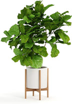 Fox & Fern Bamboo Plant Stand — 11.8 Inch Fixed Size Wooden Mid Century Planter Stand for Indoor Planters (Not Included) - Large Flower Pot Holder for Indoor Big Pots - Plug In Design - Bamboo