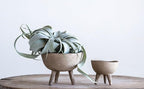 Creative Co-Op Round Terra-cotta Bowl with 3-Legs and Distressed Finish, Cream
