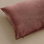 MIULEE 24x24 Inch Euro Sham Velvet Pillow Covers, Set of 2 Large Square Decorative Pillows -Jam Super Soft for King Bed, Sofa, Couch, Accent Chairs with Hidden Zipper