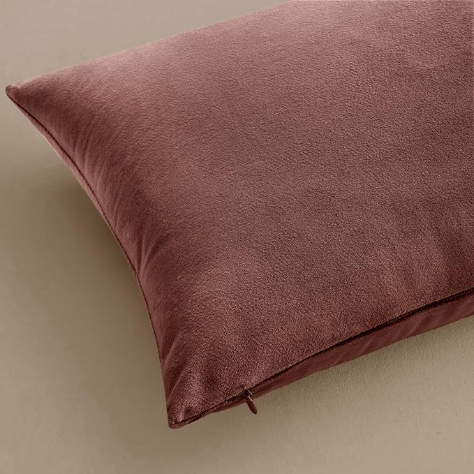 MIULEE Velvet Throw Pillow Covers 20x20 Inch, Pack of 2 - Jam, Soft Solid Decorative Pillow Covers Cushion Cases Modern Luxury Home Decor for Spring Couch Sofa Bedroom Livingroom