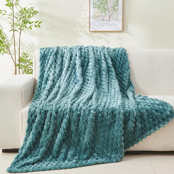 NEWCOSPLAY Super Soft Twin Blanket Light Teal Premium Silky Flannel Fleece 3D Clouds Stylish Jacquard Lightweight Bed Blanket All Season Use 350GSM (Light Teal, Twin(60"x80"))