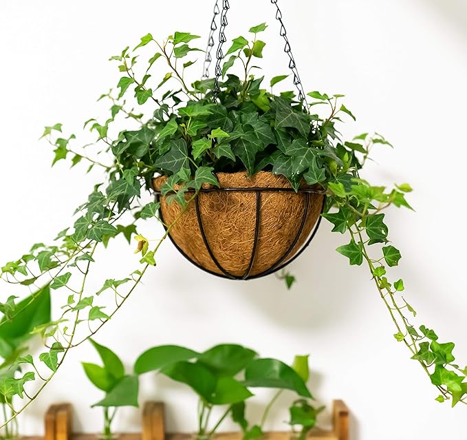 Kingbuy 12-Inch Metal Hanging Basket with Coconut Liner - Rust-Resistant Wire Planter Flower Pot Holder for Indoor Outdoor Plants, Garden Balcony Patio Decoration - 2 Pack