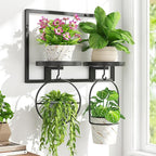 iDavosic.ly Wall Plant Picture Frame Holder with 2 Trays for Indoor, Metal Stand with Hanging Hooks, Floating Flower Display Decor, Space Saving & Easy to Assemble (Pots/Chains/Plants Not Included)