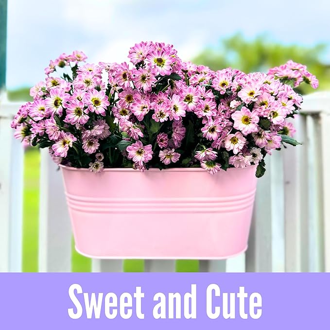 LaLaGreen Outdoor Hanging Planter (11.2 Inch, 6 Pack) Light Pink, Light Purple, Turquoise, Light Blue, Dark Purple, Cadet Blue Metal Iron Window Box Flower Pot Deck Railings Fence Porch Garden Decor