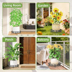 iDavosic.ly 2-Pack Metal Plant Stands for Outdoor Indoor, 11-Inch Wide Rust-proof Iron Heavy Duty Flower Pot Holder for Patio Garden Porch Living Room, Modern Black