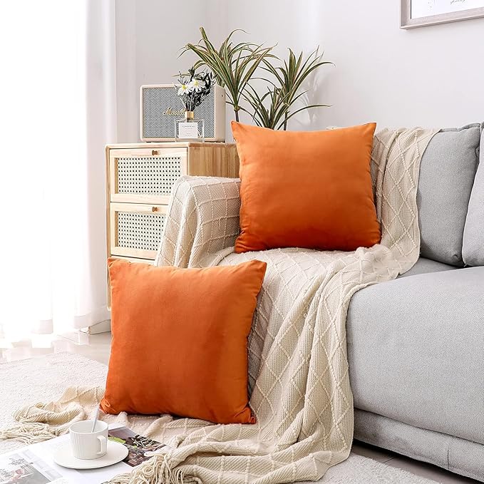 NiNi ALL Decorative Throw Pillow Covers Velvet 16x16 Inch Pack of 2 Orange Cushion Covers Soft for Couch Sofa Bedroom Living Room Outdoor
