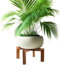 Wenqik 1 Pack 16 Inch Wood Plant Stand Wooden Plant Pot Holder Mid Century Rattan Flower Boho Rustic Stool Holder for Indoor Gardening Patio, Fit 8-18 Inch Pot (Wood Color)